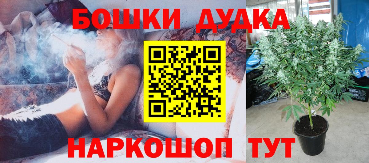 Бошки марихуана конопля Скопин